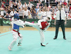 Demonstrating Side Kick
