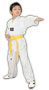 Yellow Belt